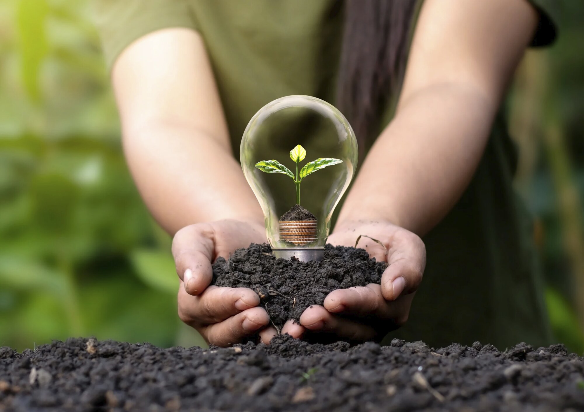 Manos sosteniendo una planta dentro de una lámpara, símbolo de innovación sostenible